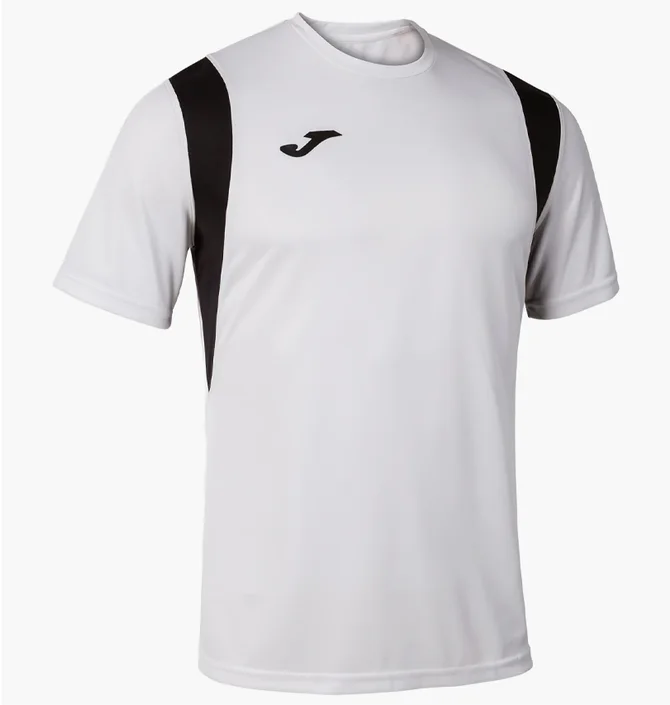 Футболка мужская Joma Dinamo White 100446.200