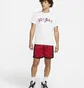 Шорты мужские Air Jordan Dri-Fit Red DH9077-687