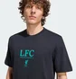 Футболка мужская Adidas Lfc Black JZ2541