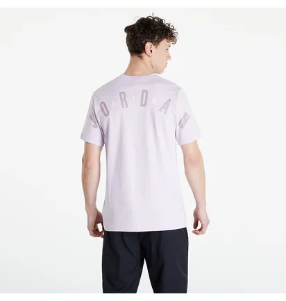 Футболка мужская Air Jordan Stretch Pink DM1462-530