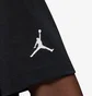 Футболка чоловіча Air Jordan Flight Mvp Baseball Black FN5990-010