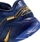 Кроссовки мужские Nike Lebron Xxii Blue HV5145-400