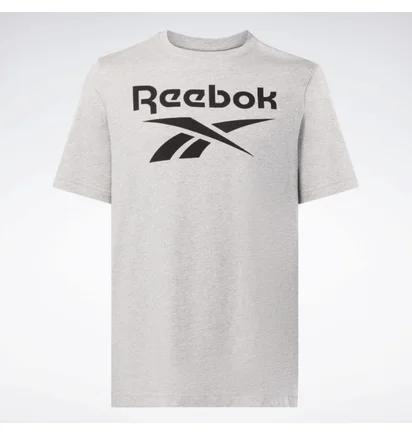 Футболка мужская Reebok Identity Big Stacked Logo T-Shirt Grey 100071173
