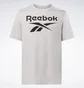 Футболка мужская Reebok Identity Big Stacked Logo T-Shirt Grey 100071173