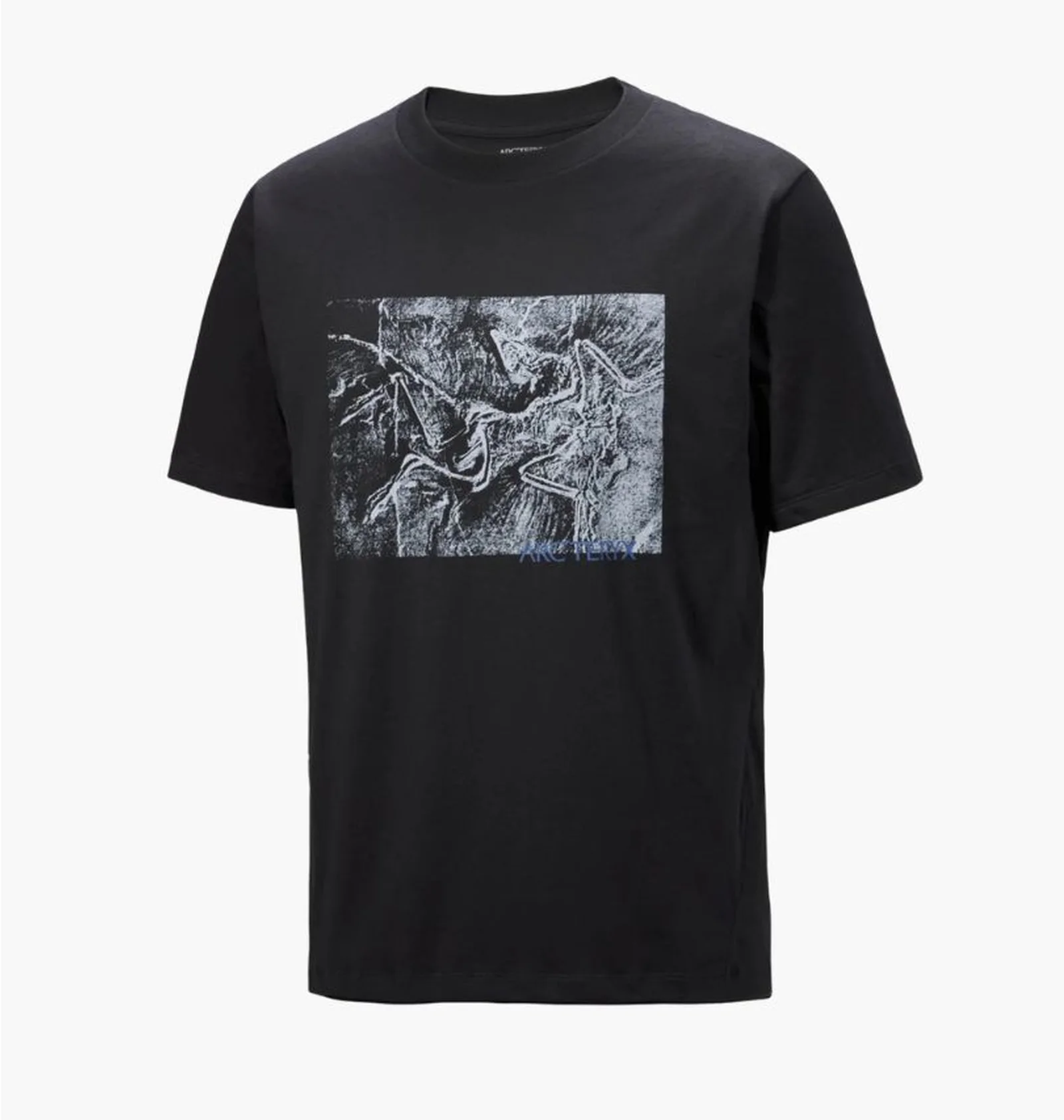ᐉ Футболка чоловіча Arc'teryx Lithographica Black X000009926