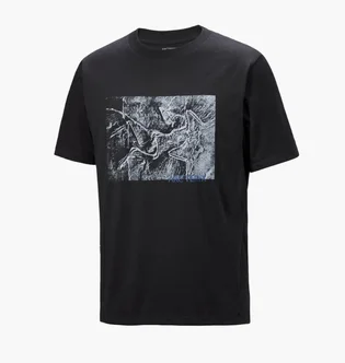 Футболка чоловіча Arc'teryx Lithographica Black X000009926-BLACK