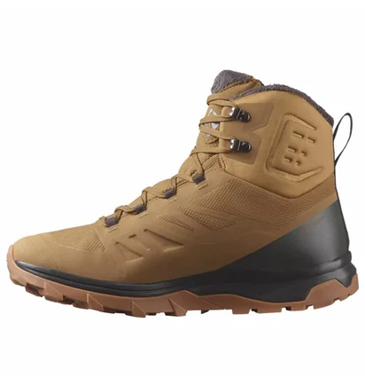 Ботинки мужские Salomon Outblast Ts Cswp Brown 473825