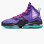 Кроссовки унисекс Nike Lebron Xix Dj Bron Violet Cz0203-500