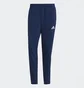 Штаны мужские Adidas Tiro21 Wov Pnt Blue Gh4470