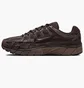 Кросівки чоловічі Nike P-6000 Se Brown HF0015-204