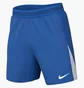 Шорти чоловічі Nike Vapor V Blue FZ9352-463