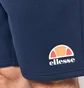 Шорты мужские Ellesse Malviva Short Blue SXG13532-429