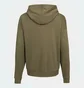 Худи мужское Adidas Terrex Logo Olive IW3802