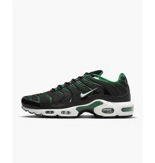 Кроссовки мужские Nike Air Max Plus Shoes Black DM0032-009