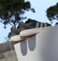 Кроссовки мужские Adidas Lightblaze Blue JR0039