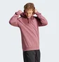 Худи мужское Adidas Terrex Logo Hoodie Violet IN4715