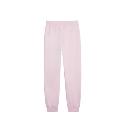 Спортивный костюм женский Puma Power Pink 677893-60__677895-60