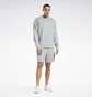 Свитшот мужской Reebok Classics Natural Dye Grey Hi4636