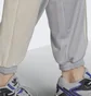 Штани жіночі Adidas Adicolor Split Trefoil Track Pants Grey Hc7046