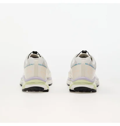 Кроссовки мужские Salomon Xt-6 Mindful Beige L47467000