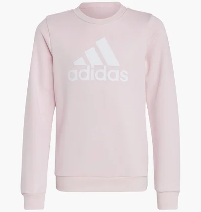 Свитшот детский Adidas Essentials Big Logo Sportswear Pink IC6119
