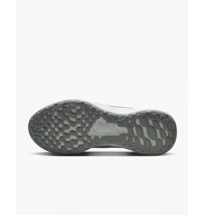 Кроссовки женские Nike Revolution 6 Next Nature Grey Dc3729-010