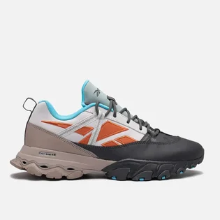 Кроссовки мужские Reebok Dmx Trail Shadow Multi GY5872