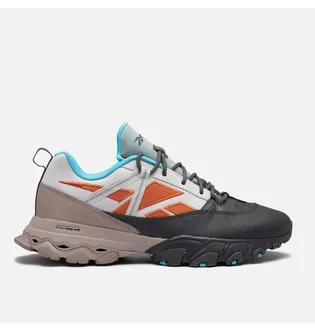 Кроссовки мужские Reebok Dmx Trail Shadow Multi GY5872