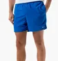 Шорти чоловічі Nike Essential Blue NESSA560494