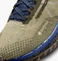 Кросівки чоловічі Nike Pegasus Trail 4 Gore-Tex Running Shoes Brown Fd5841-200