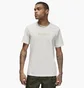 Футболка мужская Air Jordan Psg Logo Beige FN5332-133