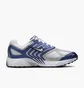 Кросівки унісекс Nike Pegasus 2005 White/Blue HQ5403-401