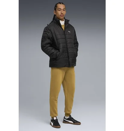 Штани чоловічі Puma Essentials Colour Logo Brown 684713-69