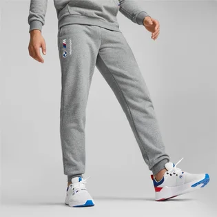 Штани чоловічі Puma Bmw M Rsport Ess Grey 621302-03