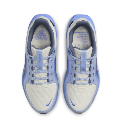 Кросівки жіночі Nike Winflo 11 Gore Tex Blue/Beige FQ1359-002
