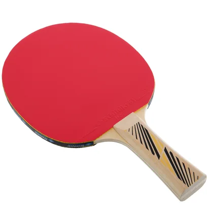 Ракетка для настольного тенниса Donic Legends 300 Fsc Black/Red 705234