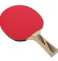 Ракетка для настольного тенниса Donic Legends 300 Fsc Black/Red 705234