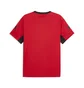 Футболка чоловіча Puma Individualliga Graphic Jersey Red/Black 660578-01
