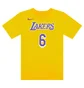 Футболка мужская Nike Nba Los Angeles Lakers Lebron James Yellow CV8528-745