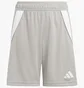 Шорты детские Adidas Tiro 24 Grey IT2408