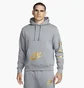 Худі чоловіче Nike Sportswear Standard Issue Grey FJ0552-065