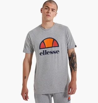 Футболка мужская Ellesse Dyne Tee Grey SXG12736-112