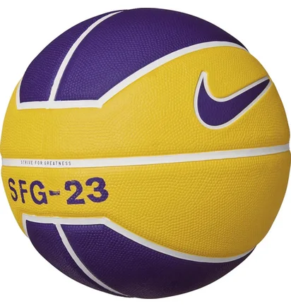 Баскетбольный мяч Nike Lebron Playground Yellow/Violet N.000.2784.728.07