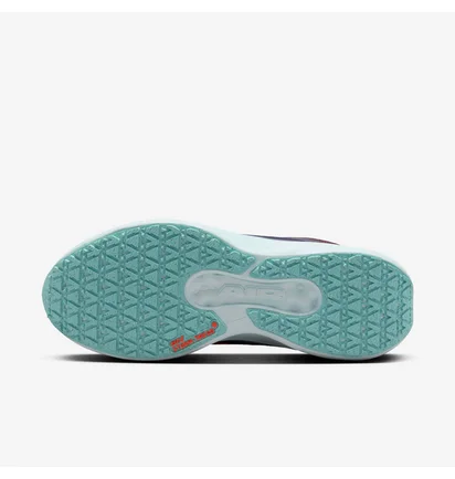 Кроссовки женские Nike Air Winflo 11 Gtx Bordo/Violet HM8871-500