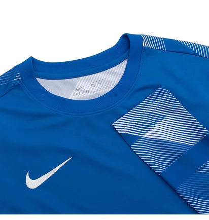 Кофта мужская Nike Dry Park Iv Goalkeeper Jersey Long Sleeve Light Blue CJ6066-463