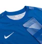 Кофта мужская Nike Dry Park Iv Goalkeeper Jersey Long Sleeve Light Blue CJ6066-463