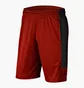 Шорты мужские Air Jordan Dri-Fit 23 Alpha Shorts Bordo CD5064-687