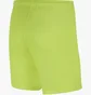 Шорты мужские Nike M Nk Dry Park Iii Short Nb K Green Bv6855-702