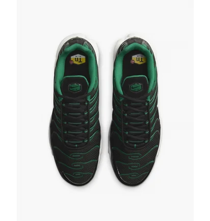 Кросівки чоловічі Nike Air Max Plus Shoes Black DM0032-009