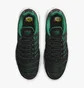 Кросівки чоловічі Nike Air Max Plus Shoes Black DM0032-009